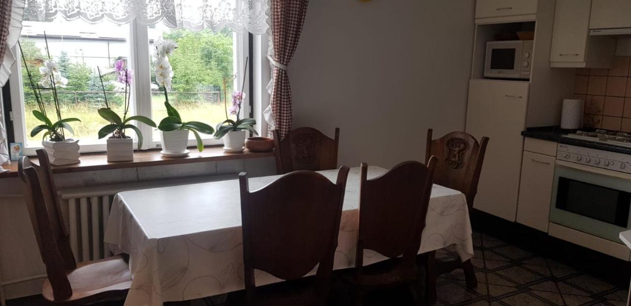 Swierkowy Zakatek Krasnobród المظهر الخارجي الصورة